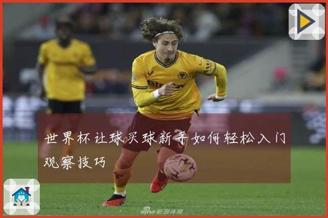 世界杯让球买球新手如何轻松入门观察技巧