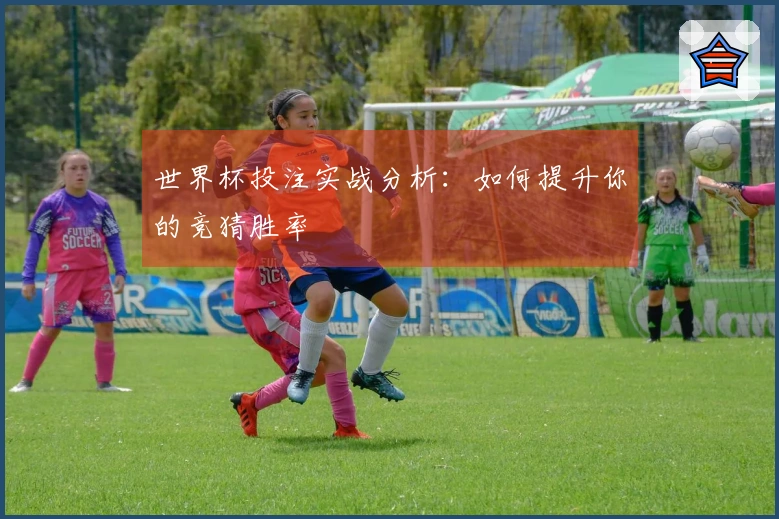世界杯投注实战分析：如何提升你的竞猜胜率