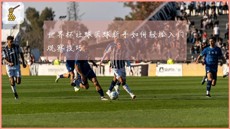世界杯让球买球新手如何轻松入门观察技巧