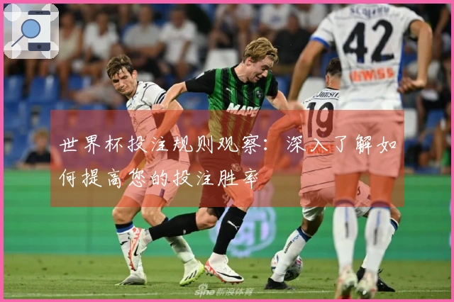世界杯投注规则观察：深入了解如何提高您的投注胜率